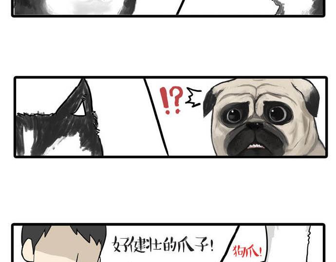 第31话 来自喵星人的快感2