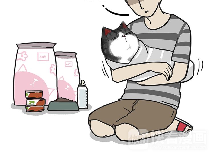 第51话 猫和狗的待遇就是不同31