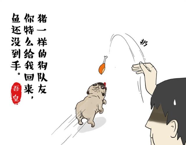 第3话 猪一样的狗队友2