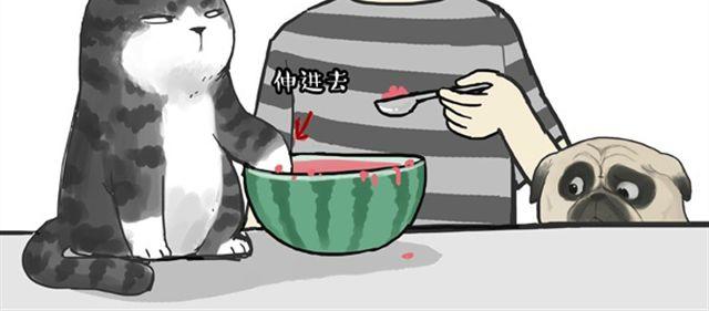 第16话 我家猫怎么能牺牲色相14