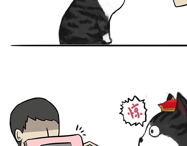 第73话 你才是肥仔嘞28