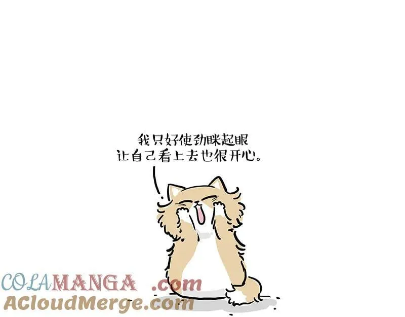第424话 话痨小猫18