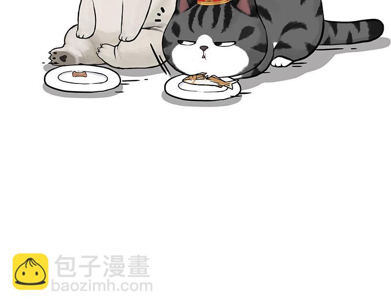 第344话 人生止痛剂1