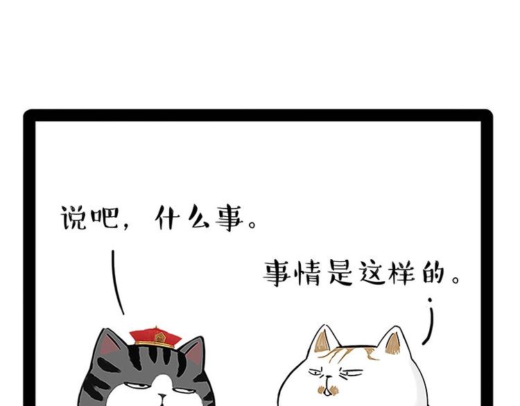 第167话 猫王争霸赛5