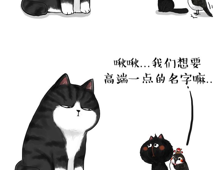 第53话 宠物的压力4