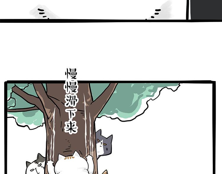 第271话 进击的流浪猫！8