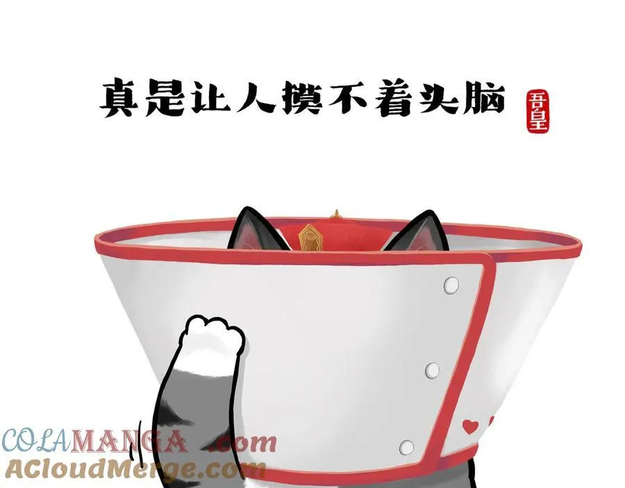第416话 进圈8