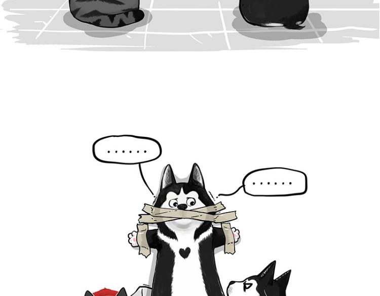 第288话 冒牌货，拿来吧你！65