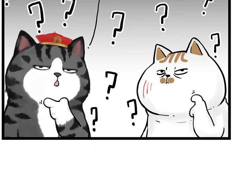 第277话 猫斗猫27