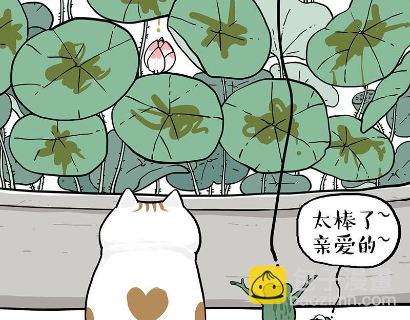 第339话 傲霸，上岸了！52