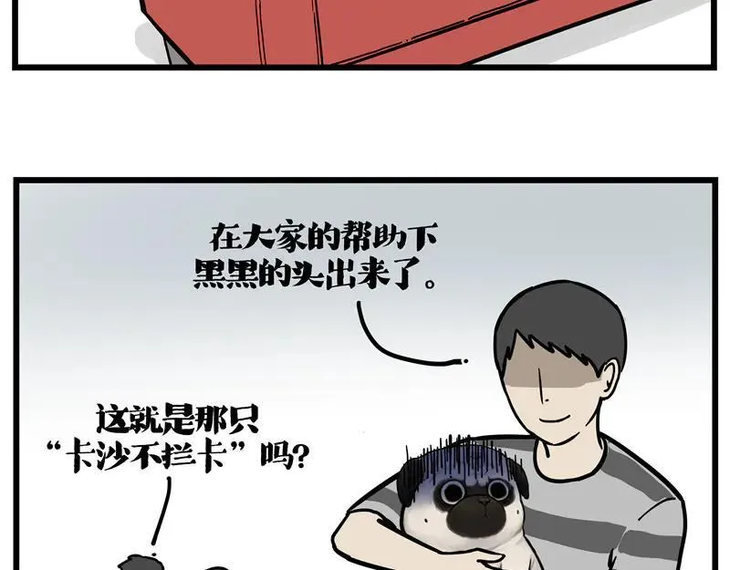 第423话 卡沙不拦卡17