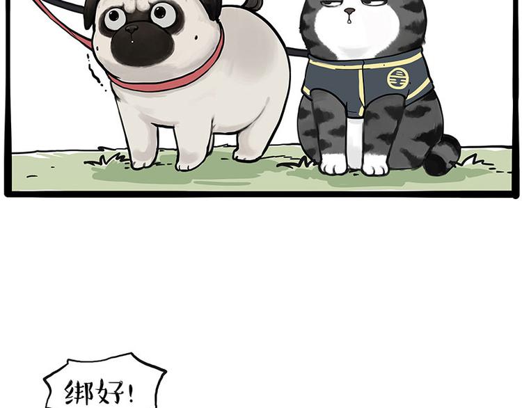 第262话 忠犬巴扎黑？！20