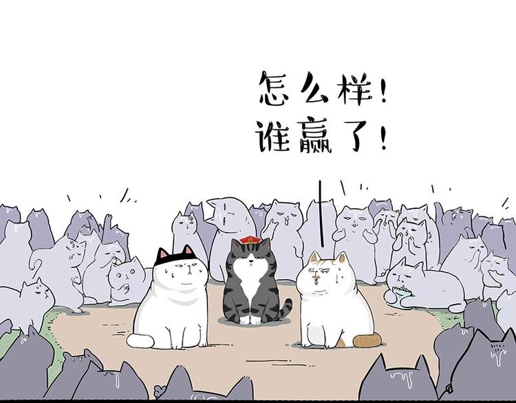 第167话 猫王争霸赛44