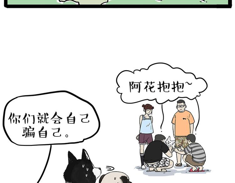 第223话 狗知识增加了9
