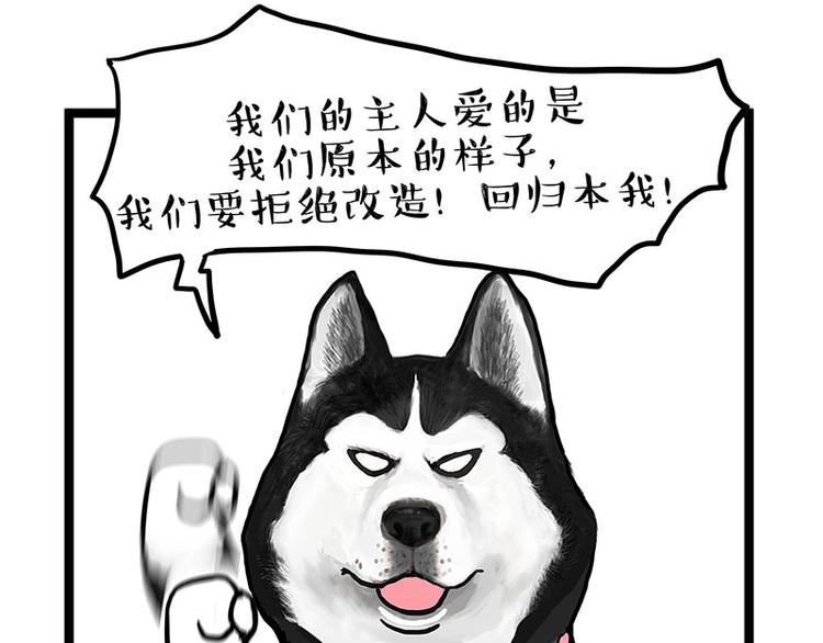第280话 狗上学56