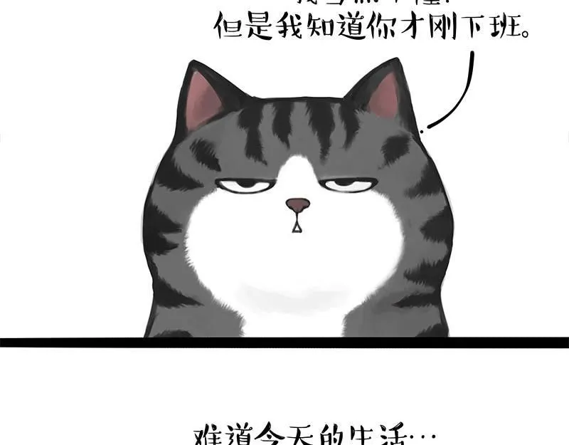 第395话 流星灵得很20