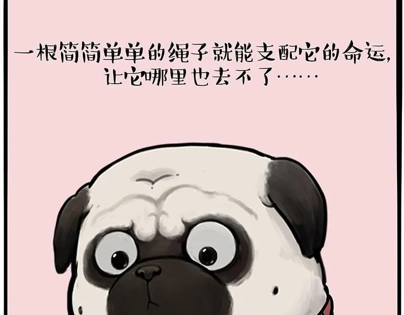 第390话 真没P图22