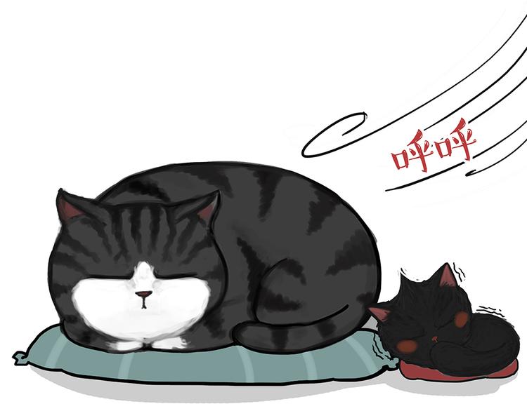 第51话 猫和狗的待遇就是不同17