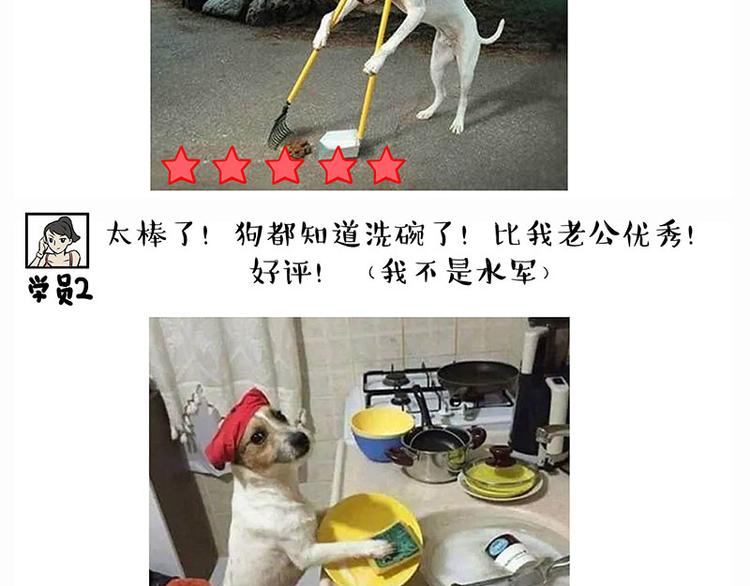 第280话 狗上学11
