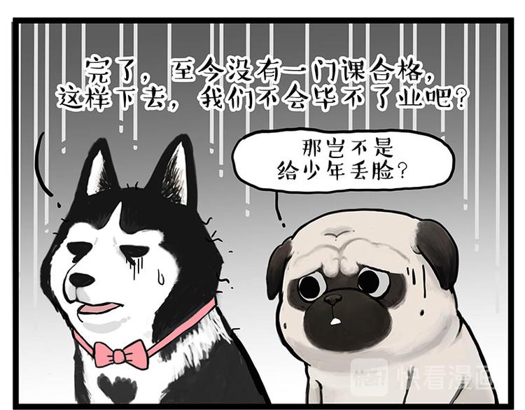 第280话 狗上学51
