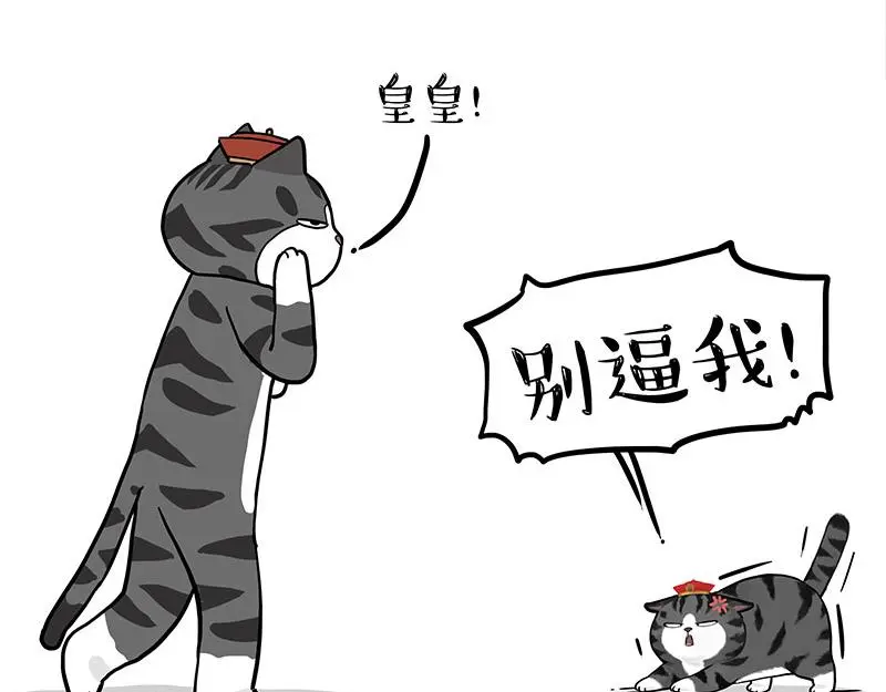 第325话 你不守猫德18