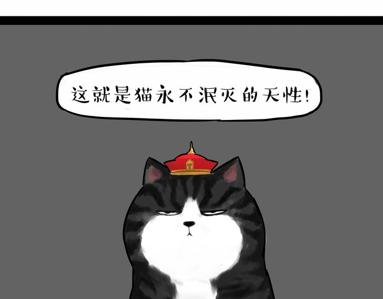 第135话 造物主也会失误38