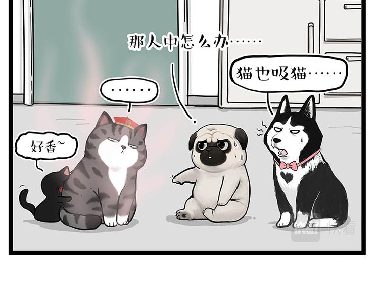第284话 美喵竟是我自己6