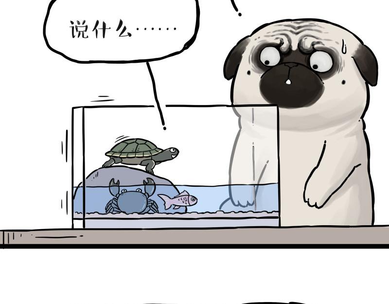 第298话 龟与狗与世界28