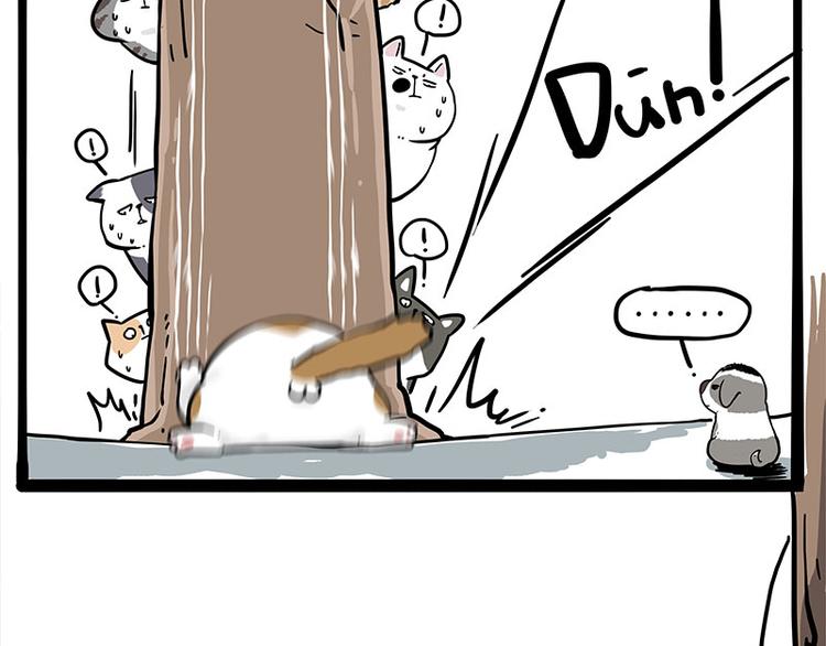 第271话 进击的流浪猫！11