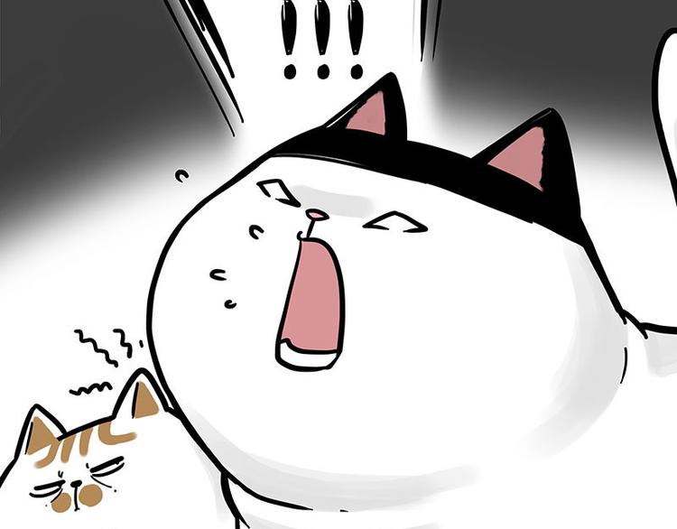 第271话 进击的流浪猫！52