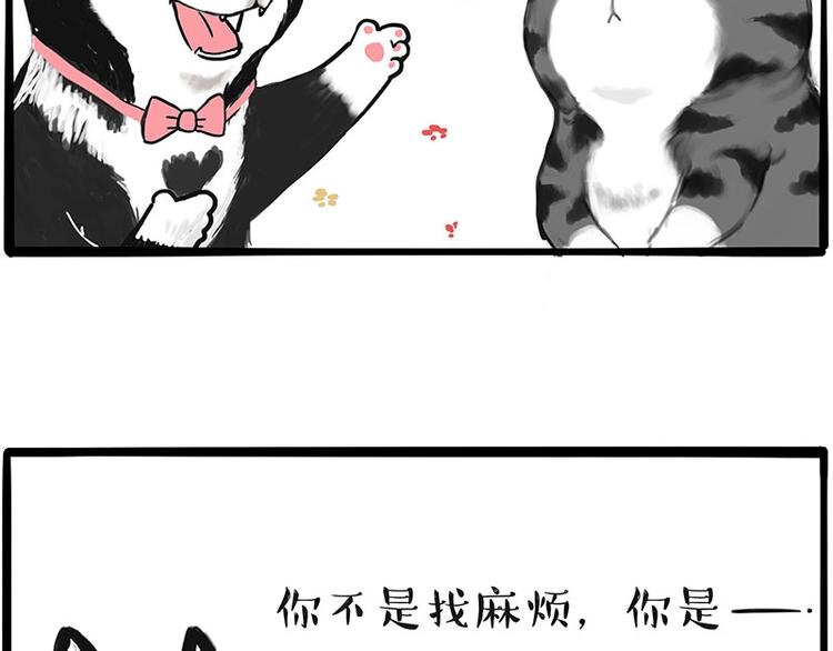 第197话 猫怼狗54