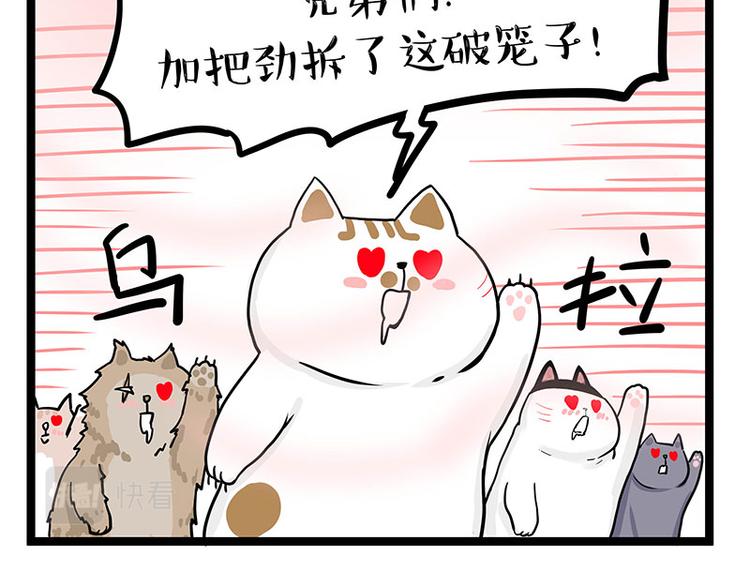第284话 美喵竟是我自己52