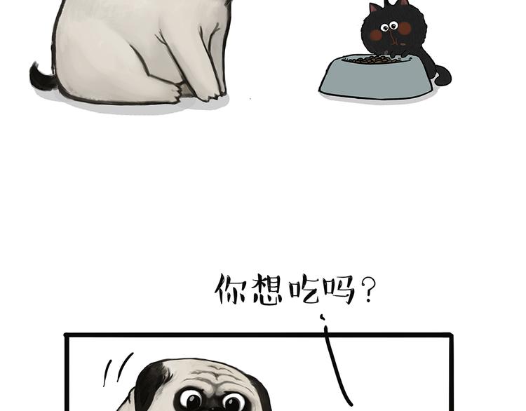 第51话 猫和狗的待遇就是不同8