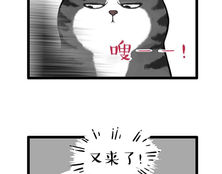 第260话 孤独解药24