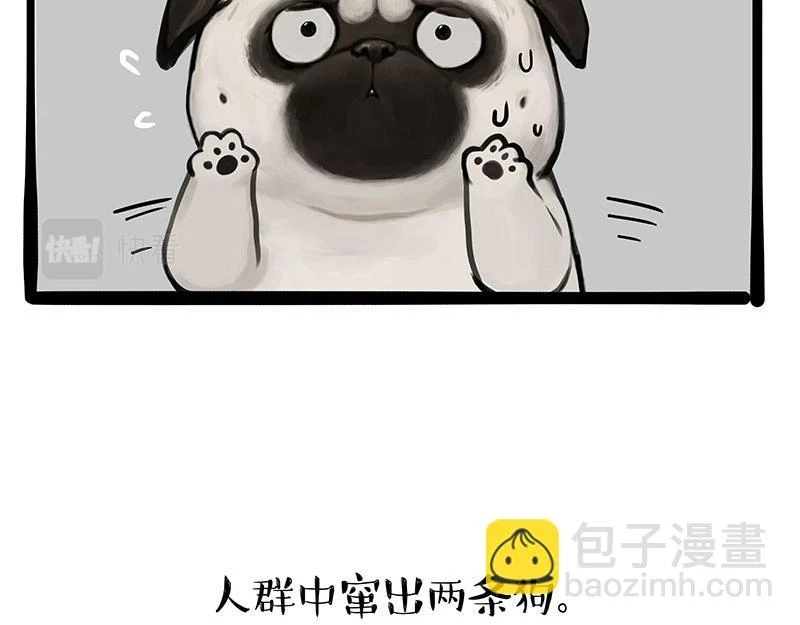 第365话 “神犬”巴扎黑23