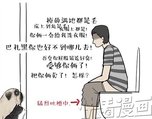 第12话 上厕所不要说猫狗坏话6