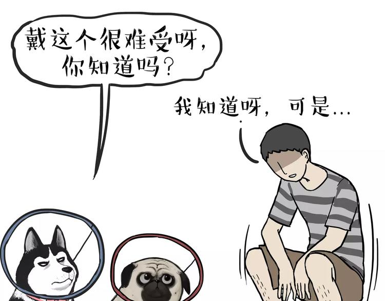 第104话 来人救驾17