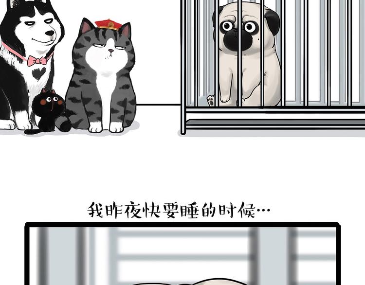 第202话 谁动了吾皇的猫粮14