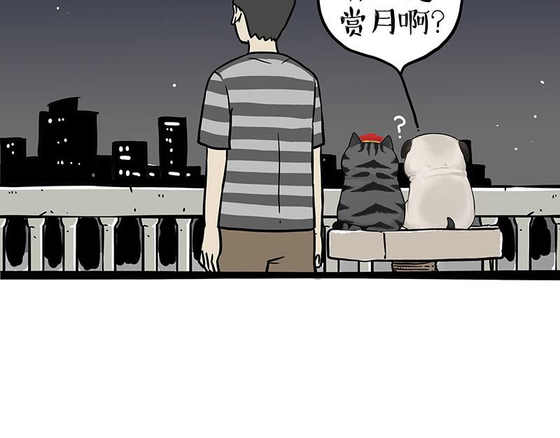 第345话 月饼节1