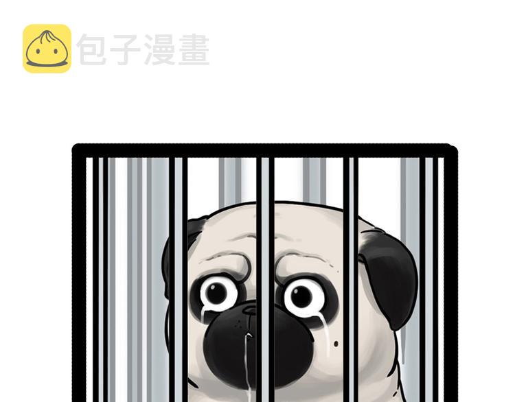 第202话 谁动了吾皇的猫粮63
