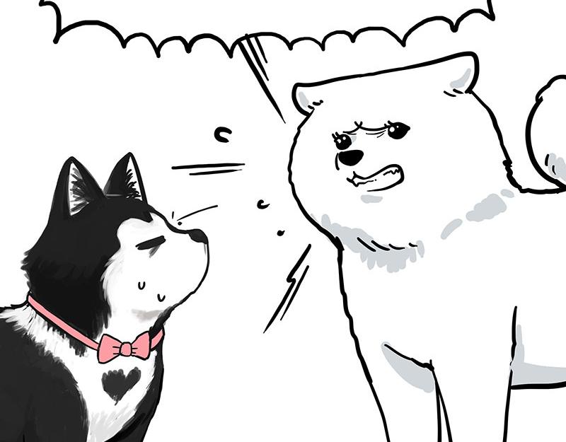第349话 养只猫吧3