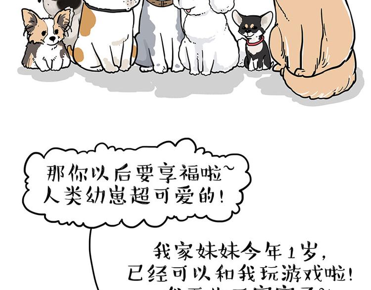 第232话 我退出这个家17