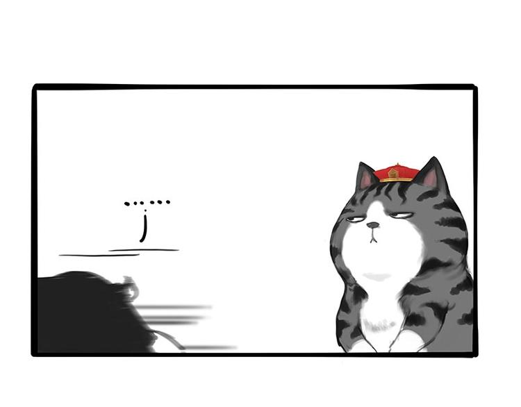 第197话 猫怼狗57