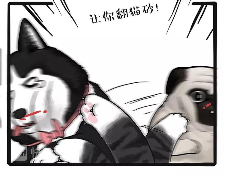 第175话 狗中王者54