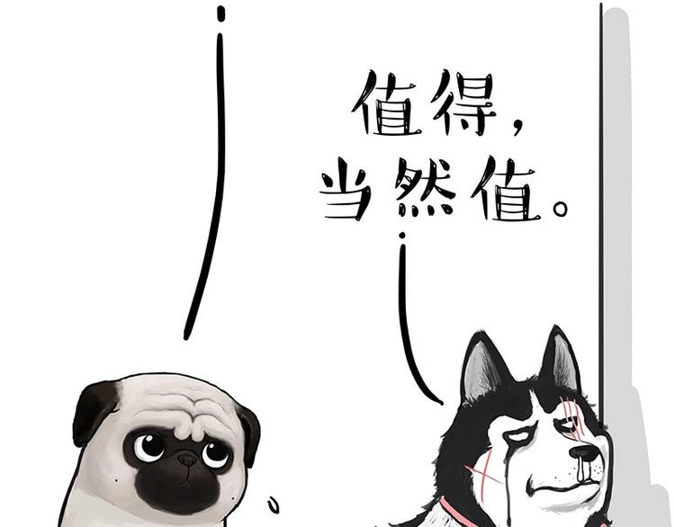 第160话 最差的一届哈士奇！57