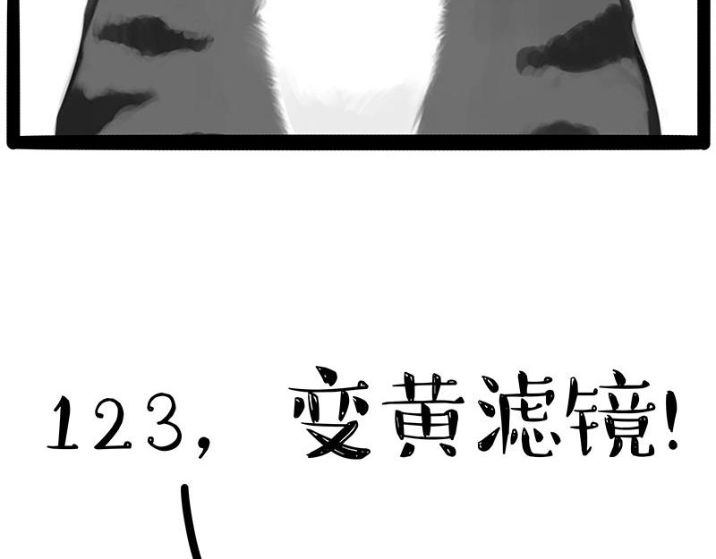 第312话 来点年味30