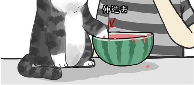 第16话 我家猫怎么能牺牲色相17