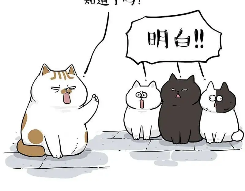 第405话 猫好狗好，人坏25