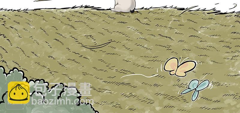 第331话 猫王争霸之“杀青”65