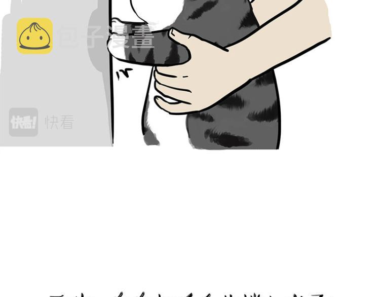 第294话 教狗游泳难度爆棚33